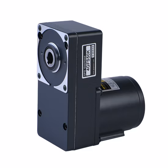 Gpg Vtv Pellet Stove Burner Boiler Dosing Metering Pump Micro AC Reversible Induction Gear Reduction Motor 4ik25gnc 8rpm Yn80-25 3ik15gn 5ik60gn120gn