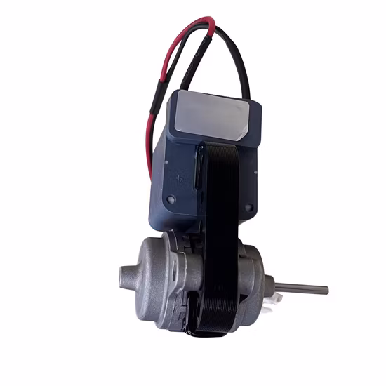 Ruijp Electric Motor Refrigerator Shaded Pole Motor / Refrigerator Motor / Shaded Pole Fan Motor with Epoxy Seal