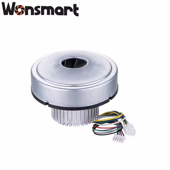 Moteur sans balais à courant continu de pompe à air pour ventilateur soufflant